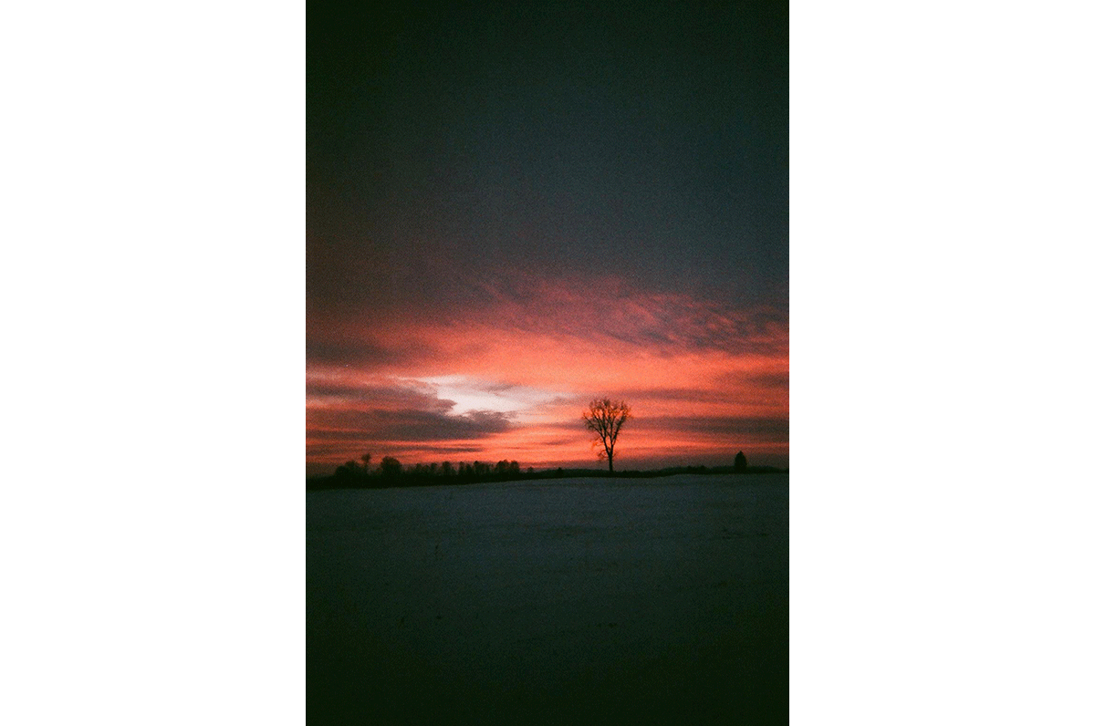 Farm at sunset