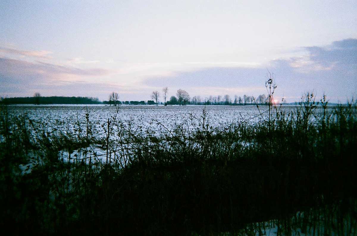 Farm at sunset